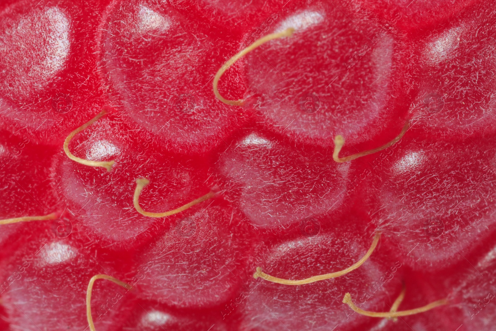 Photo of Texture of ripe raspberry as background, macro view. Fresh berry