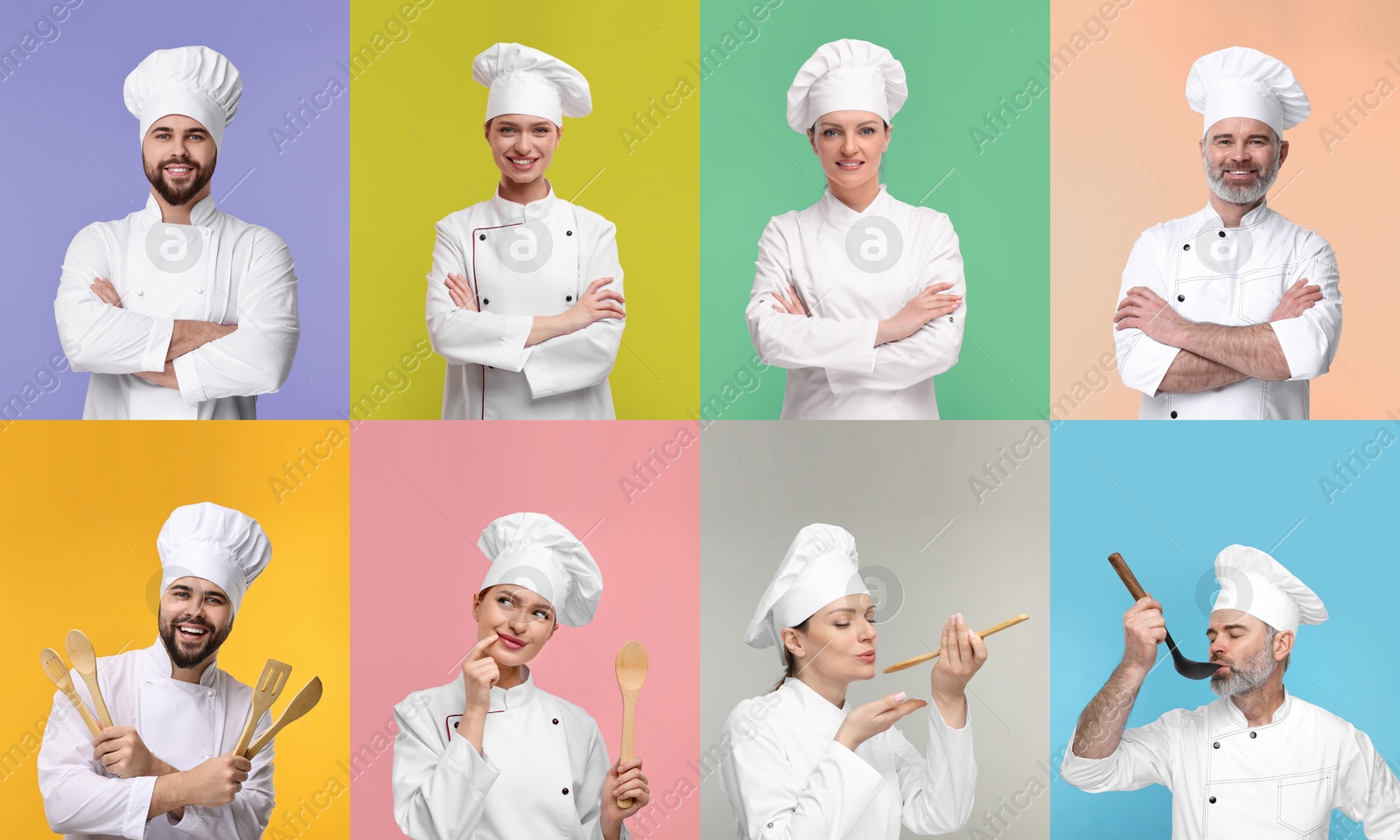 Image of Collage with photos of professional chefs on different color backgrounds