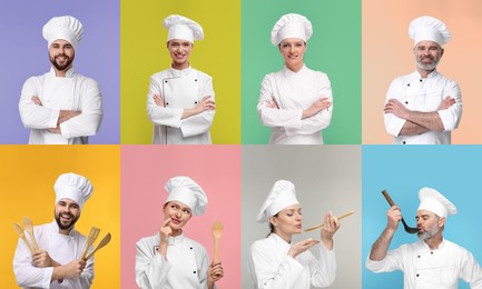 Collage with photos of professional chefs on different color backgrounds