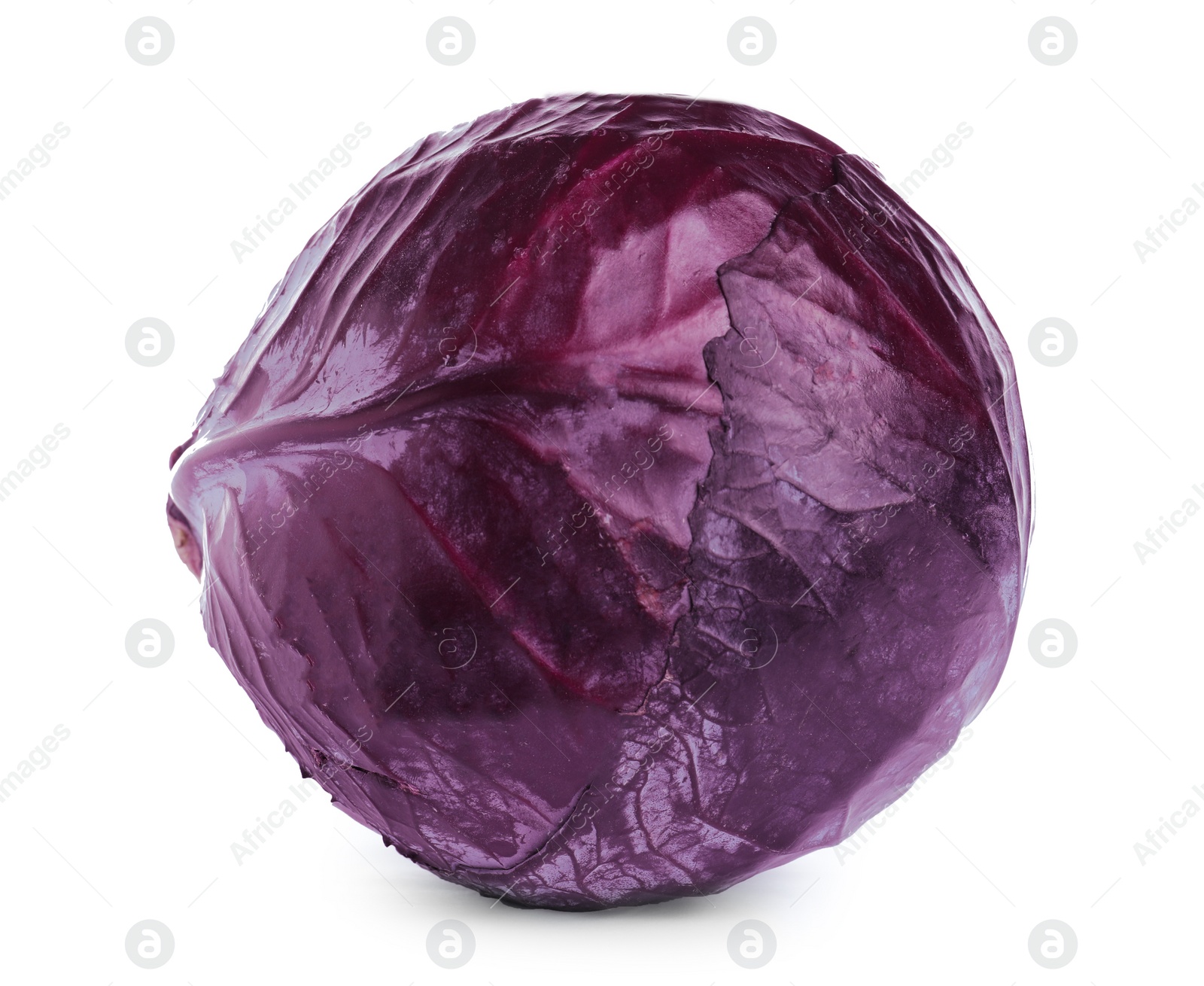 Photo of Fresh ripe red cabbage isolated on white
