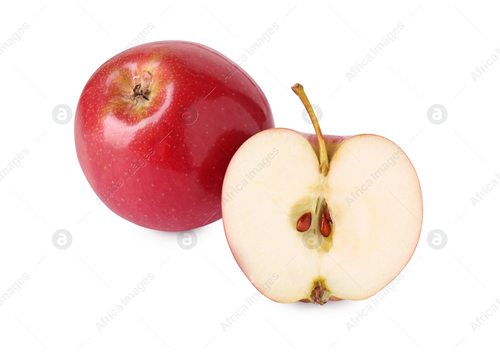 Photo of Whole and cut red apples isolated on white