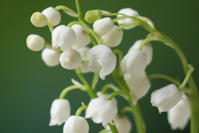 Photo of Beautiful lily of the valley flowers on blurred green background, closeup