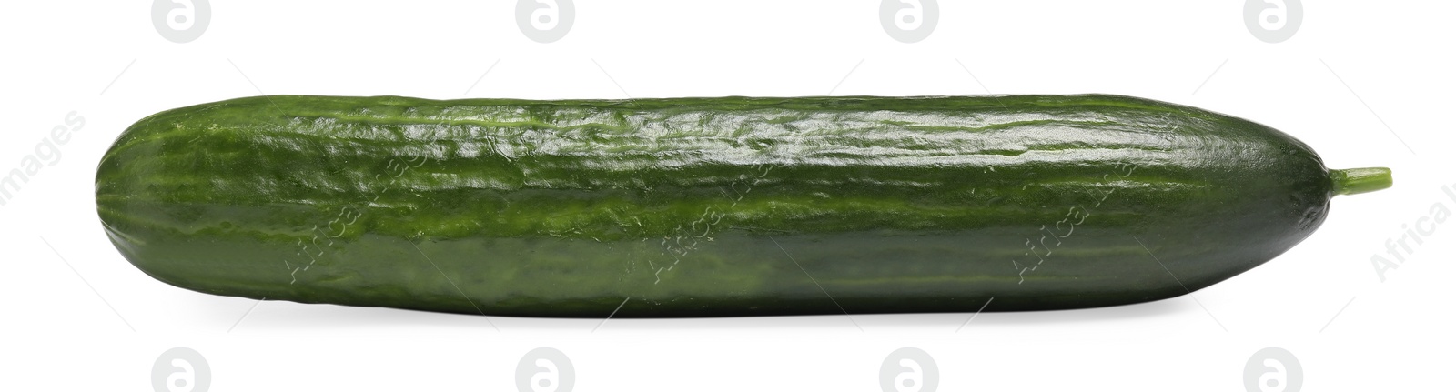 Photo of One long fresh cucumber isolated on white