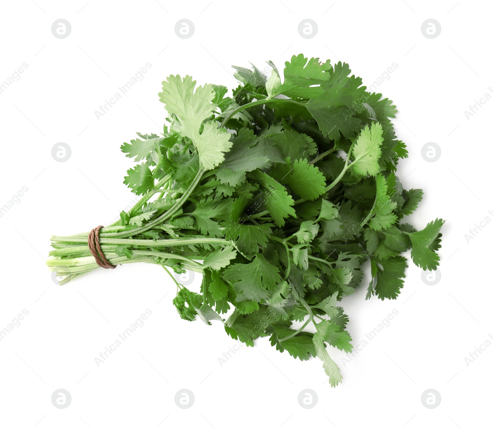 Photo of Bunch of fresh green organic cilantro isolated on white