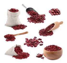 Set with raw red kidney beans on white background 