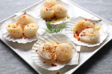 Photo of Raw scallops with spices, dill, lemon zest and shells on grey marble table, closeup