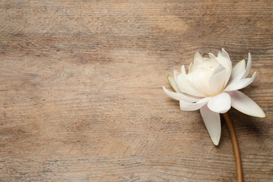 Photo of Beautiful blooming white lotus flower on wooden table, top view. Space for text