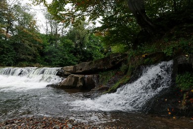 Picturesque view of beautiful river flowing near forest