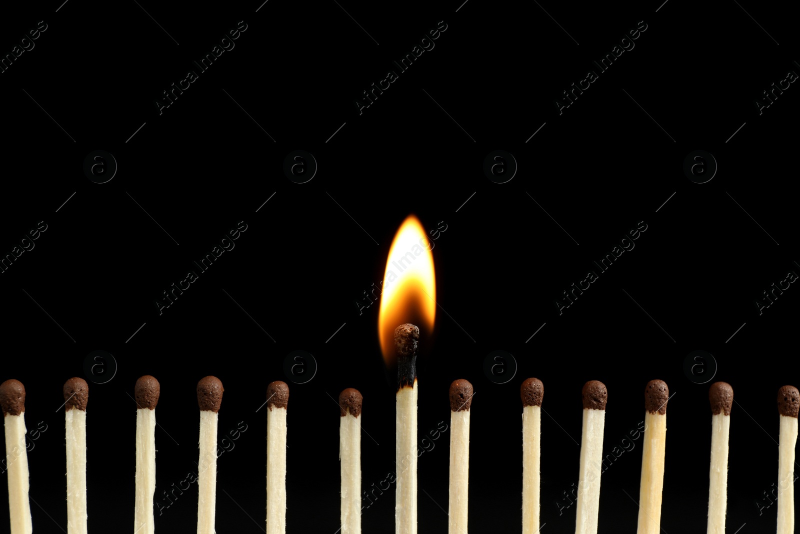 Photo of Burning match among unlit ones on black background, closeup