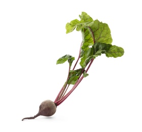 Photo of Fresh beet with leaves on white background