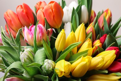 Photo of Beautiful colorful tulip flowers on grey background, closeup