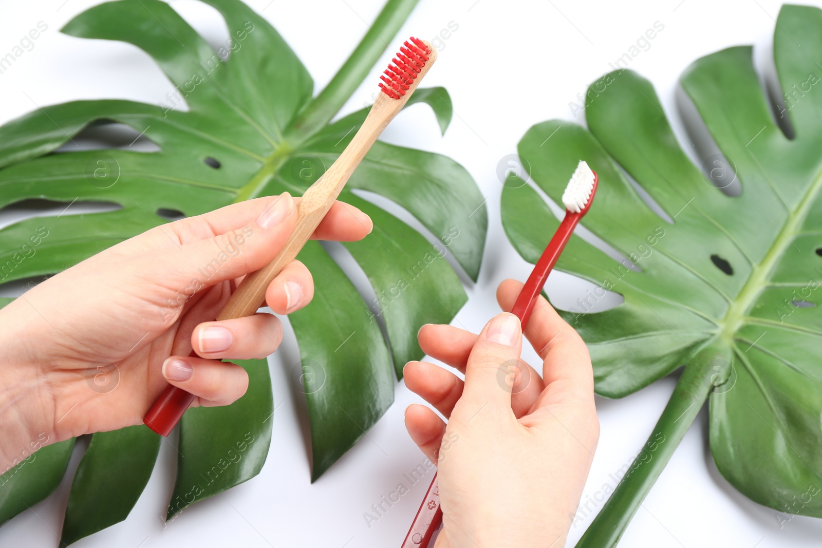 Photo of Woman holding natural bamboo and plastic toothbrushes above tropical leaves on white background, closeup