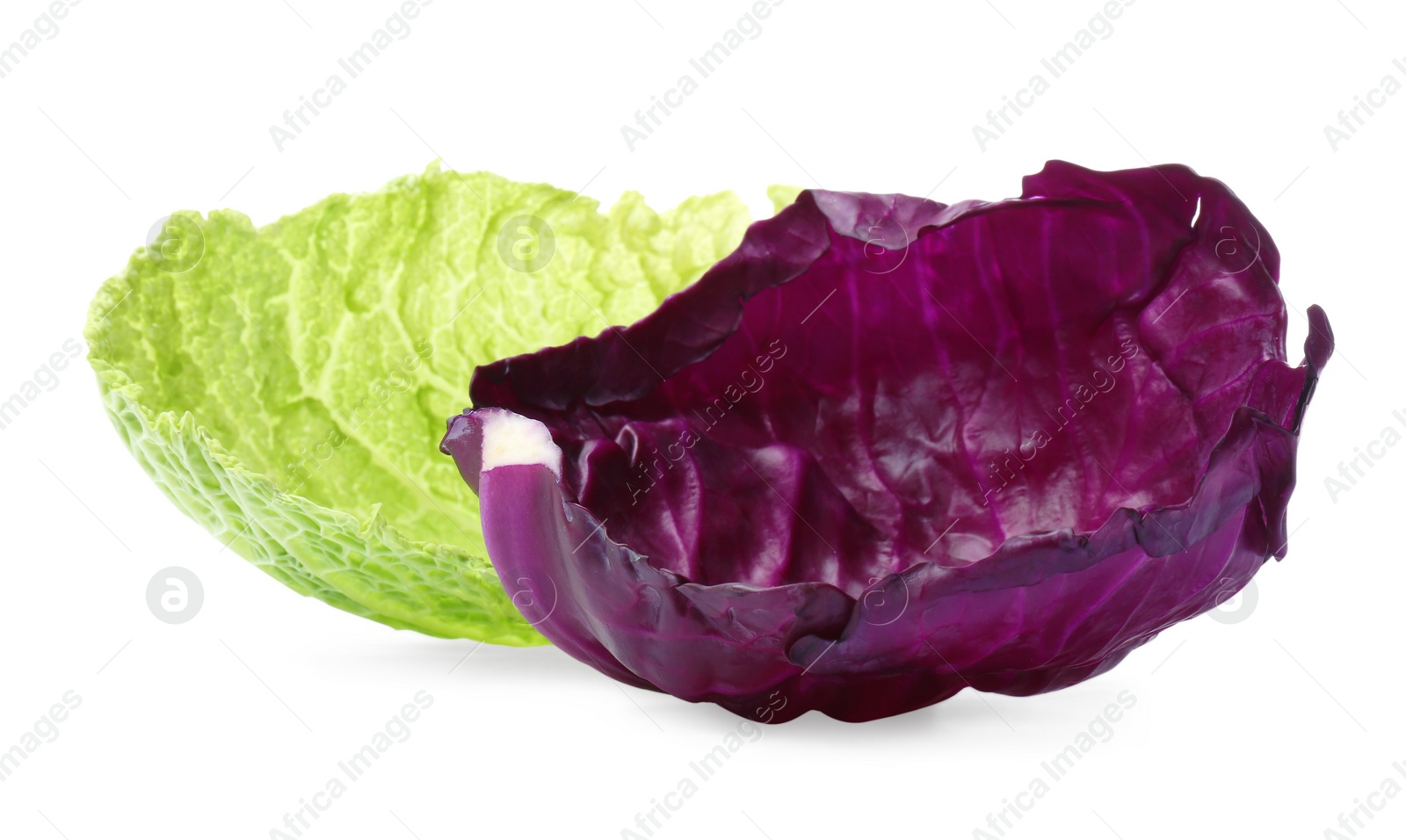 Photo of Two different cabbage leaves on white background