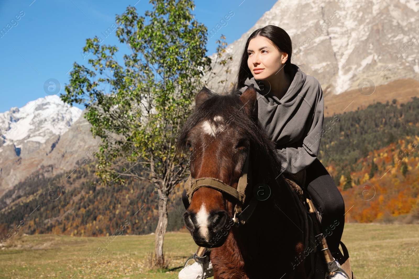 Photo of Young woman riding horse in mountains on sunny day. Beautiful pet