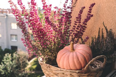 Wicker basket with beautiful heather flowers and pumpkin on windowsill outdoors