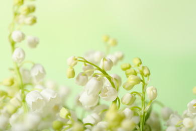 Beautiful lily of the valley flowers on light background, closeup