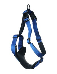 Photo of Blue dog harness isolated on white. Pet accessory