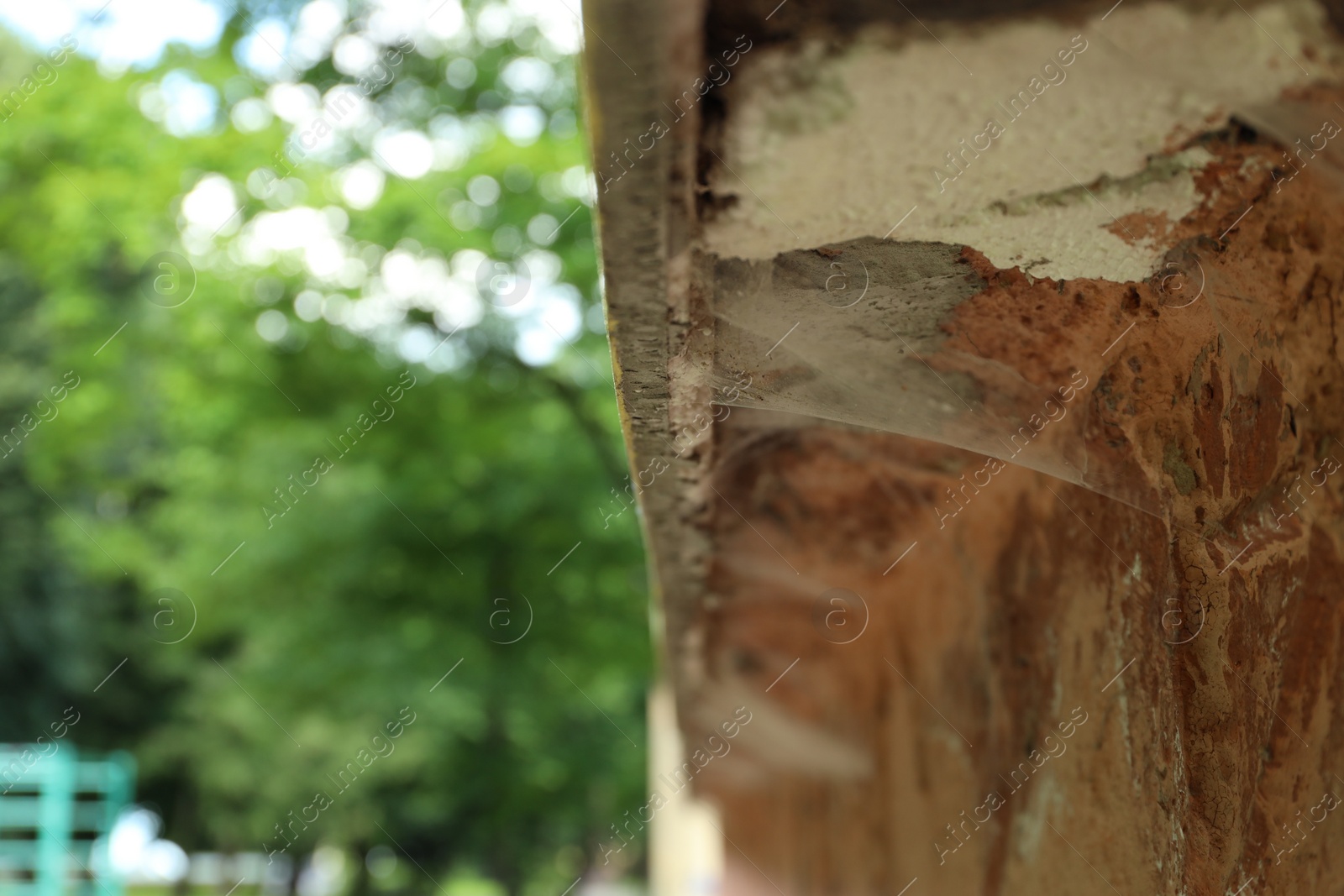 Photo of Cobweb on old building outdoors, closeup. Space for text