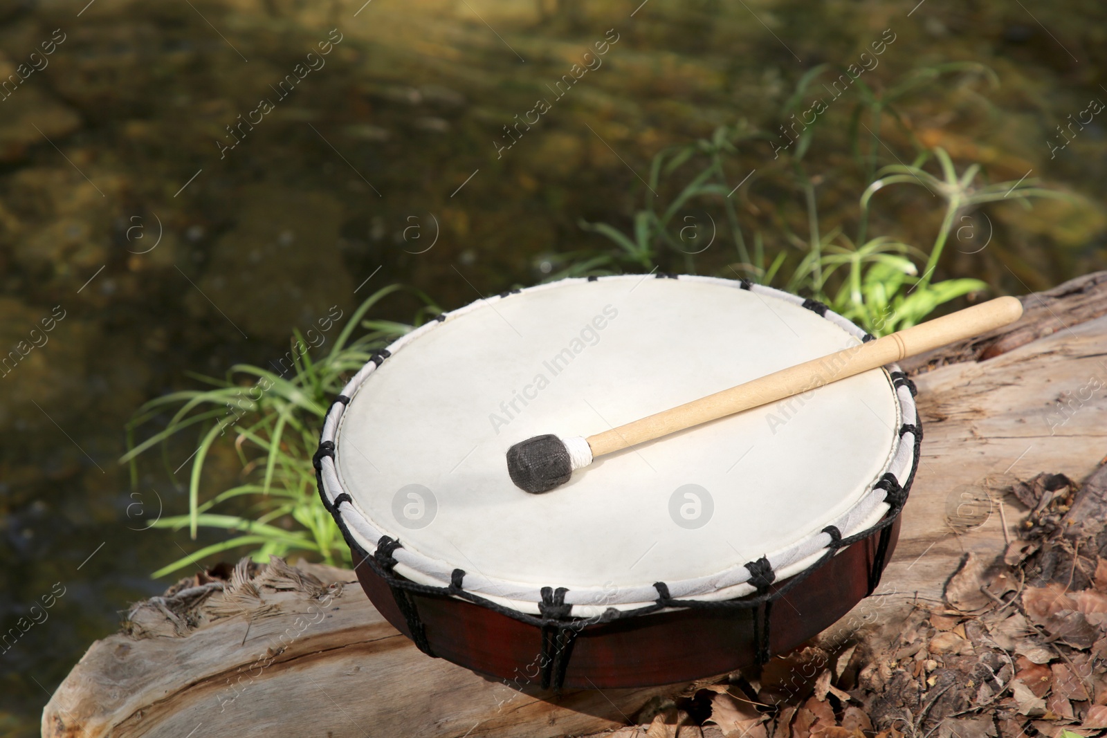 Photo of Modern drum and drumstick on stump outdoors. Percussion musical instrument