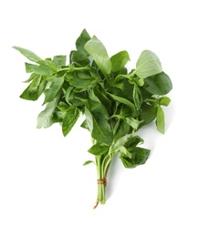 Photo of Bunch of basil on white background, top view. Fresh herb