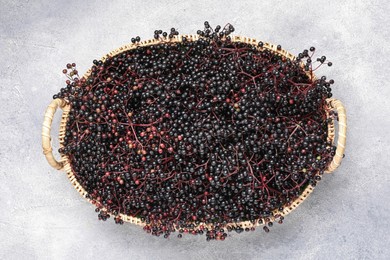 Wicker basket with ripe elderberries on light grey table, top view