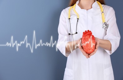 Image of Doctor holding model of heart on color background, closeup 