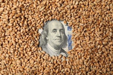 Photo of Dollar banknote under wheat grains, top view. Agricultural business
