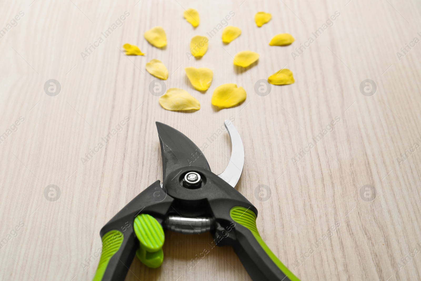 Photo of Secateur and petals on wooden table, closeup