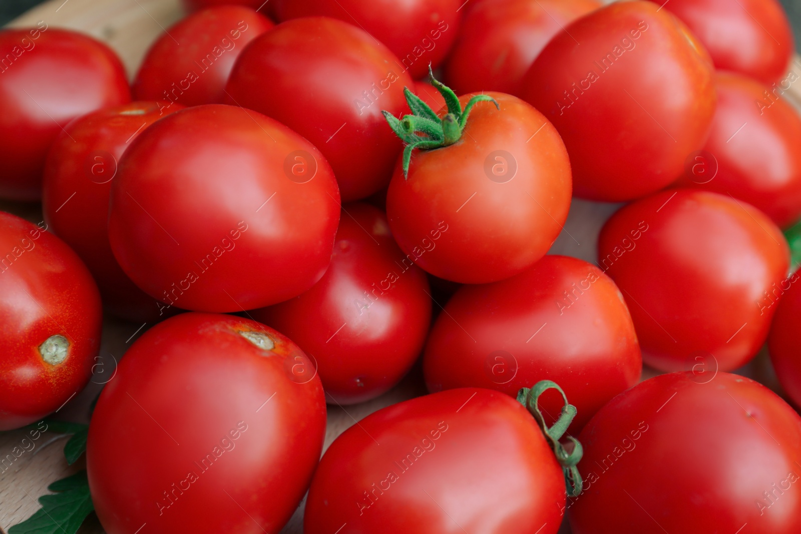 Photo of Wooden board with fresh ripe tomatoes, closeup