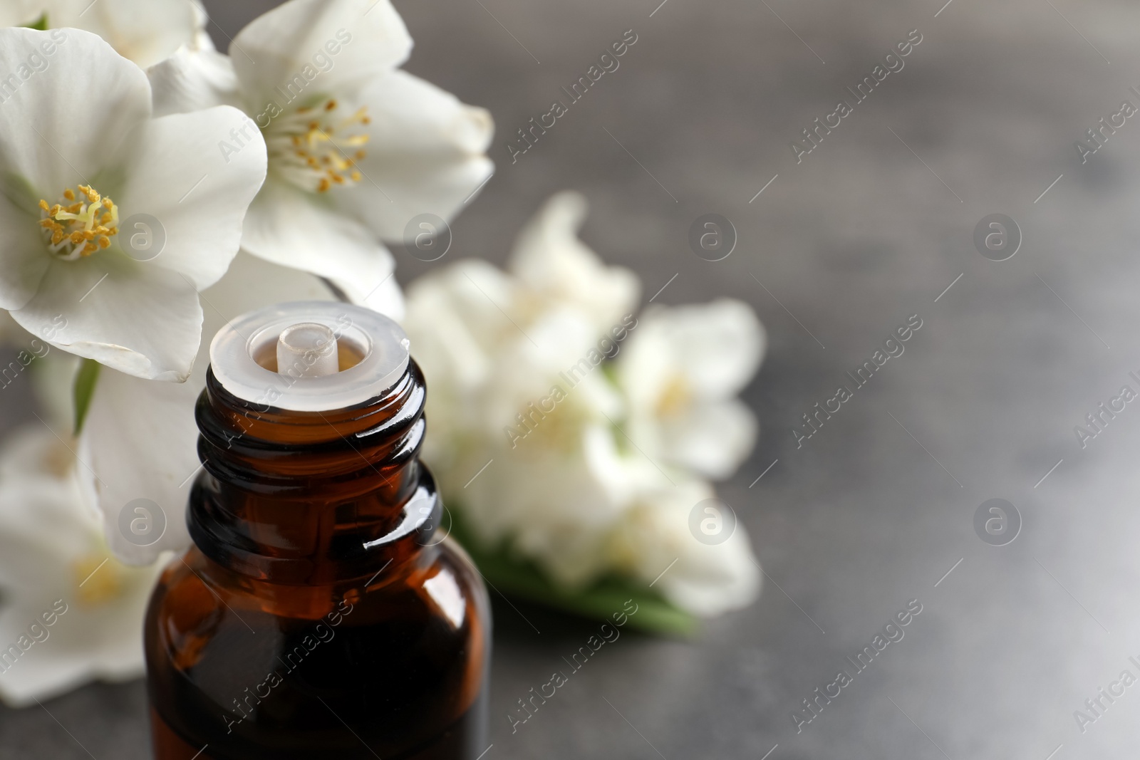 Photo of Essential oil and jasmine flowers on grey table, closeup. Space for text