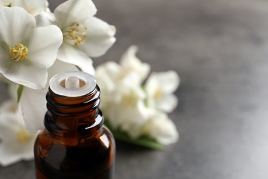 Essential oil and jasmine flowers on grey table, closeup. Space for text