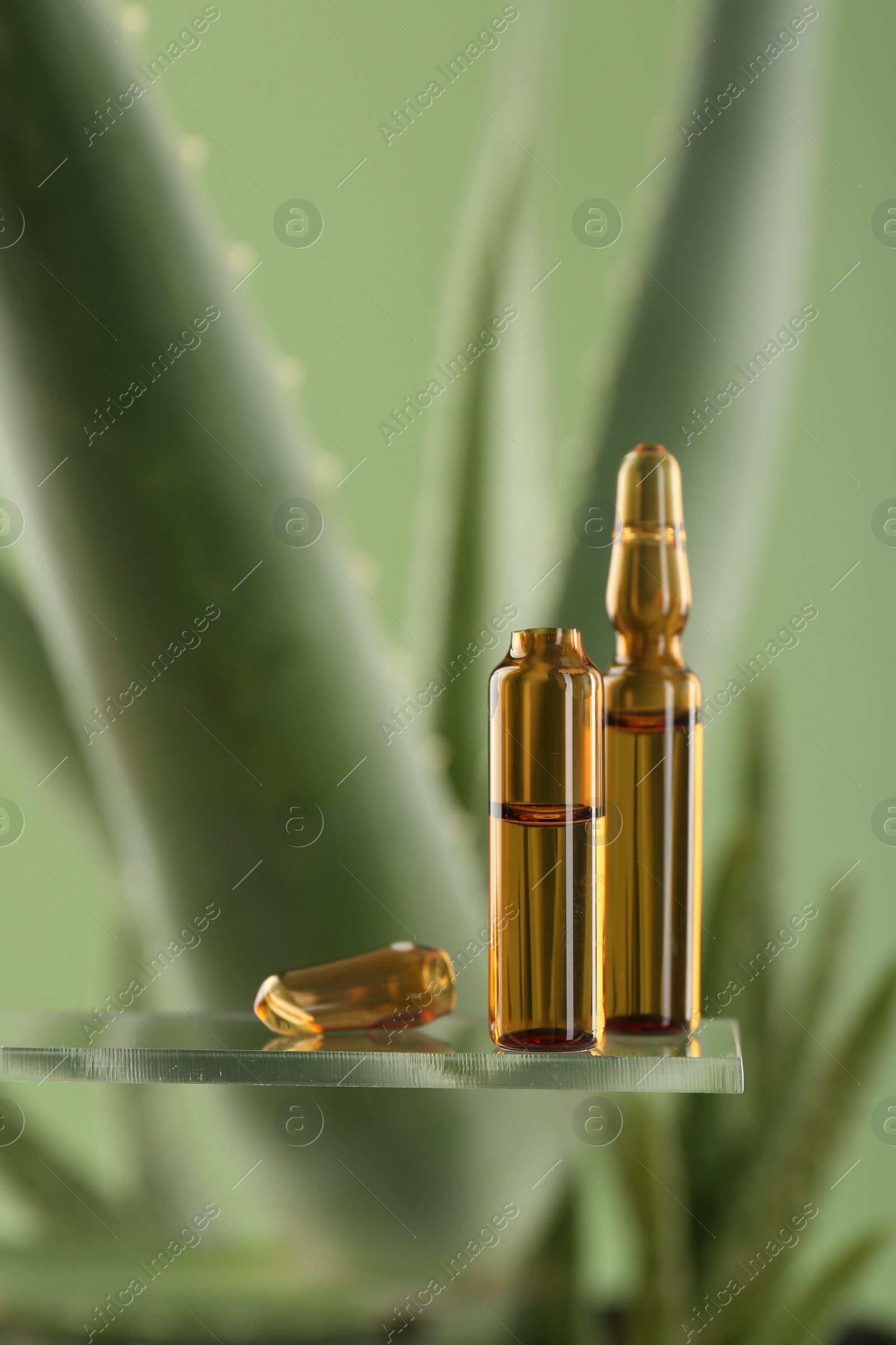 Photo of Skincare ampoules near aloe vera on light green background, closeup