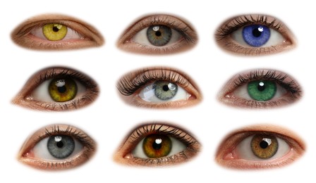 Image of Collage with photos of beautiful eyes on white background