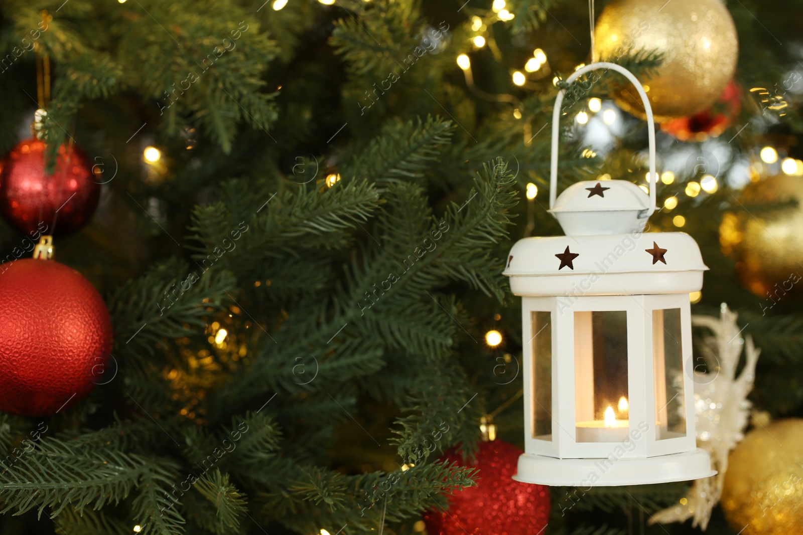 Photo of Christmas lantern with burning candle on fir tree as background, closeup