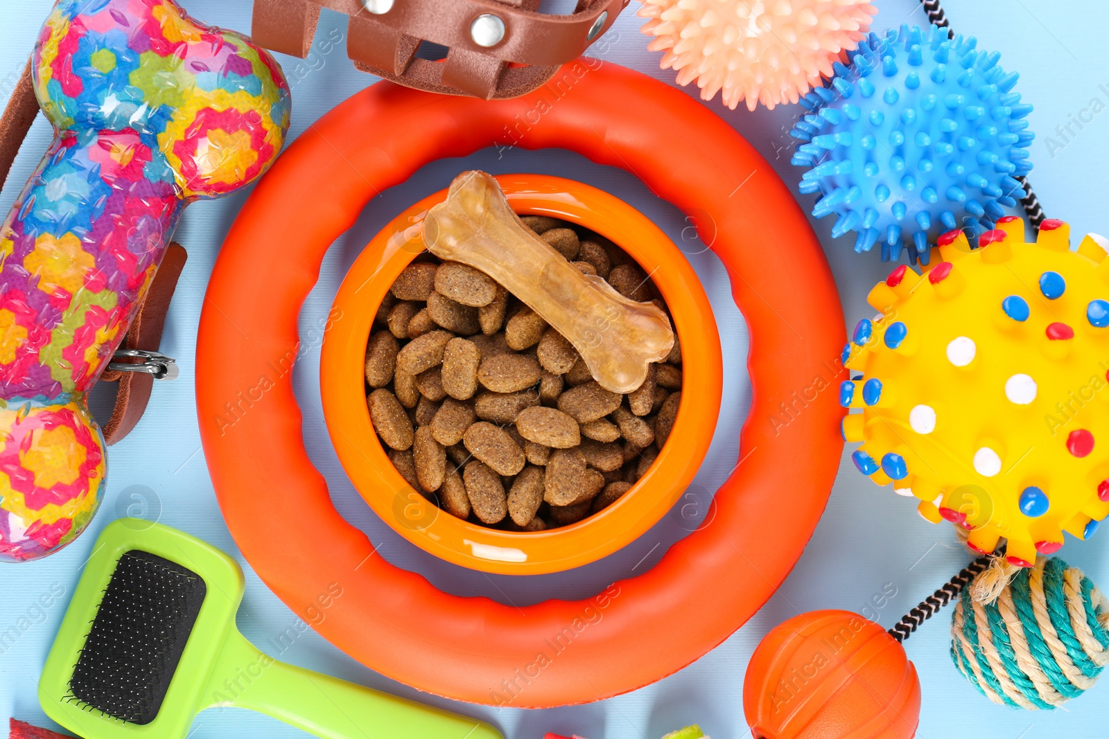 Photo of Dry pet food, toys and other goods on light blue background, flat lay. Shop items