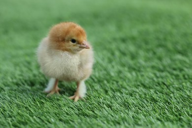 Photo of Cute chick on green artificial grass outdoors, closeup with space for text. Baby animal