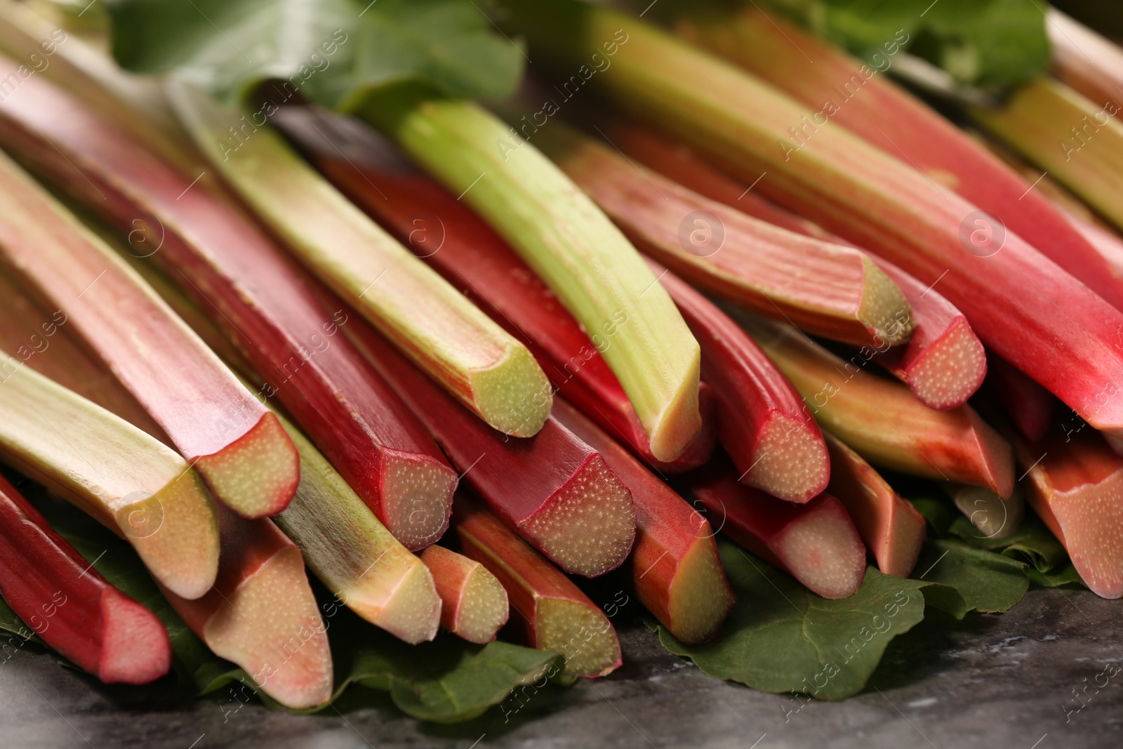 Photo of Many ripe rhubarb stalks and leaves on dark table, closeup