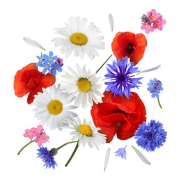 Image of Beautiful meadow flowers falling on white background