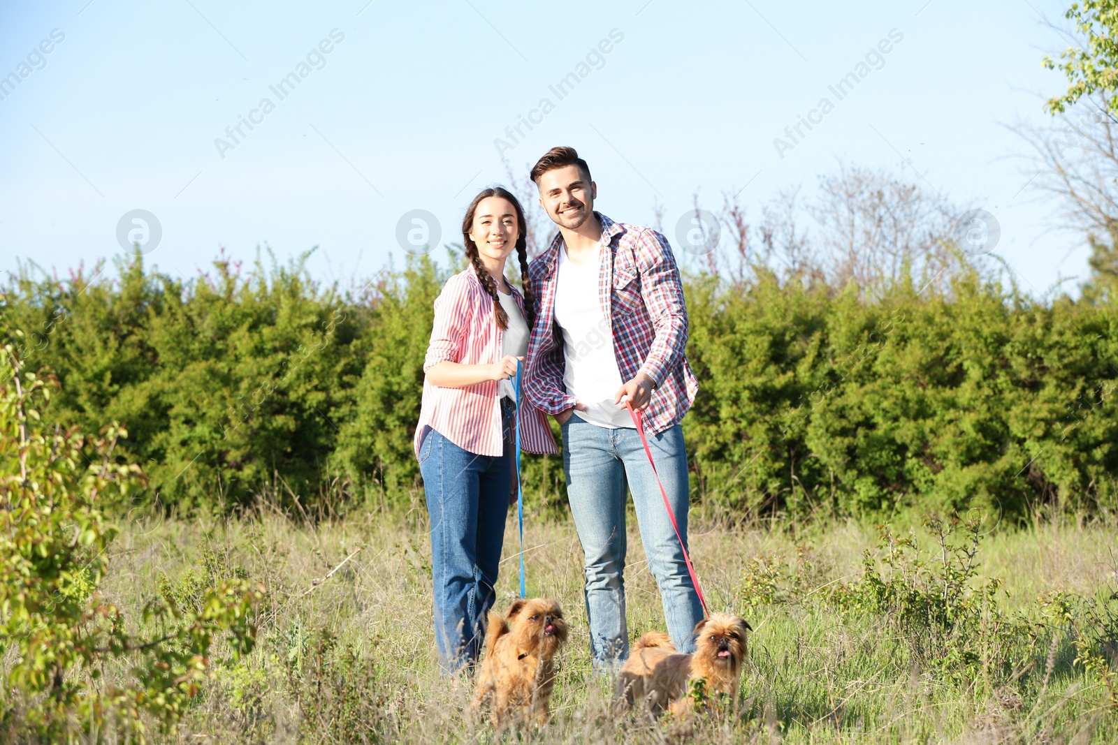 Photo of Owners walking their adorable Brussels Griffon dogs in park