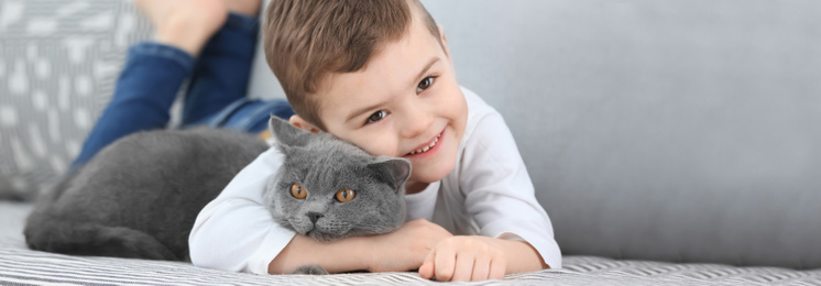 Cute little child with British Shorthair cat at home. Banner design