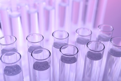 Photo of Many glass test tubes on violet background, closeup