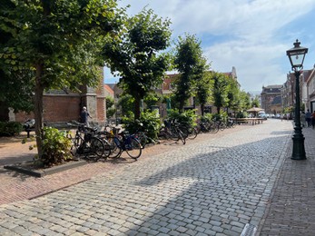 Beautiful view of parking with bicycles, trees and buildings outdoors on sunny day