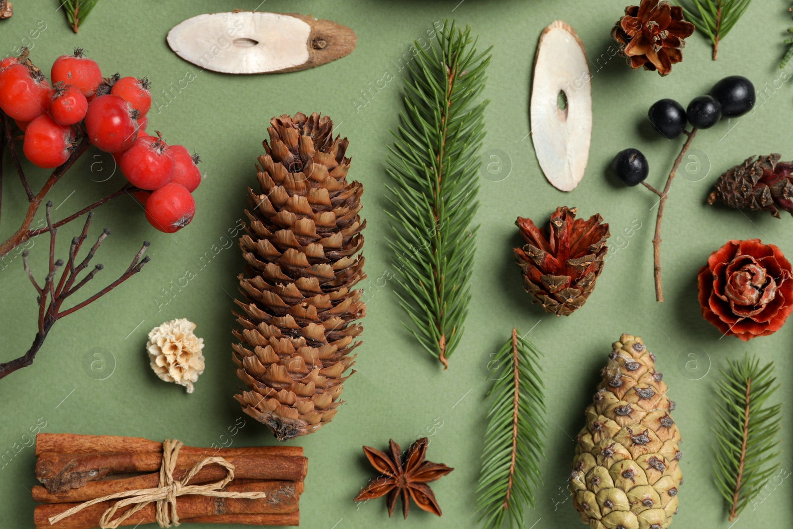 Photo of Flat lay composition with pinecones on green background