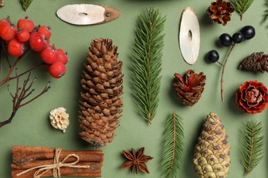 Flat lay composition with pinecones on green background