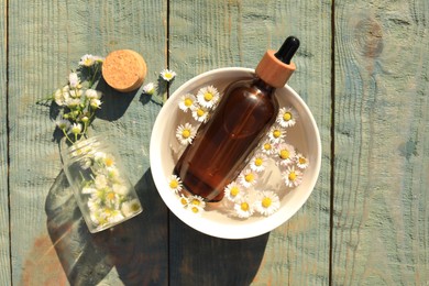 Bottle of chamomile essential oil and flowers on light blue wooden table, flat lay