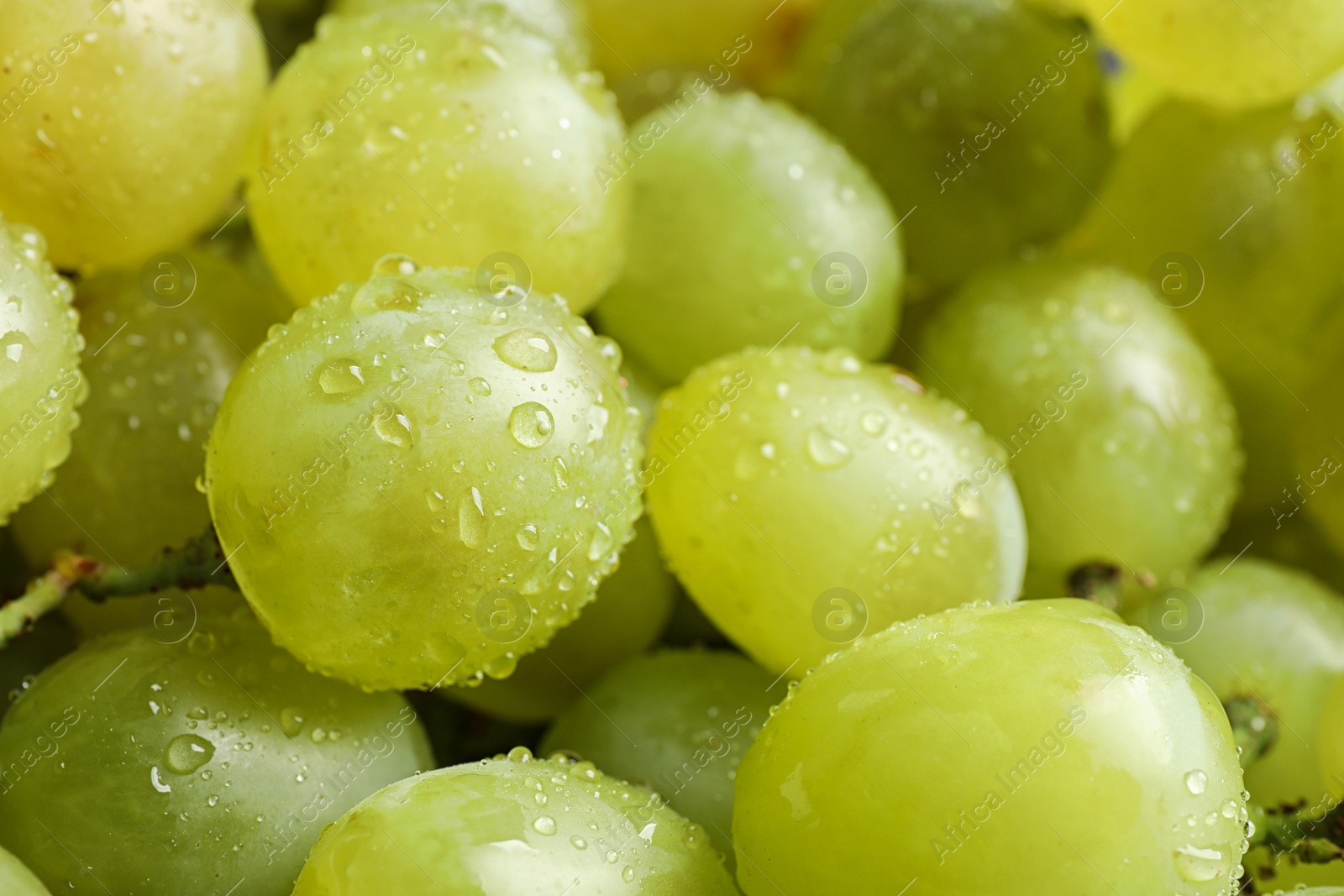 Photo of Fresh ripe juicy white grapes as background, closeup view