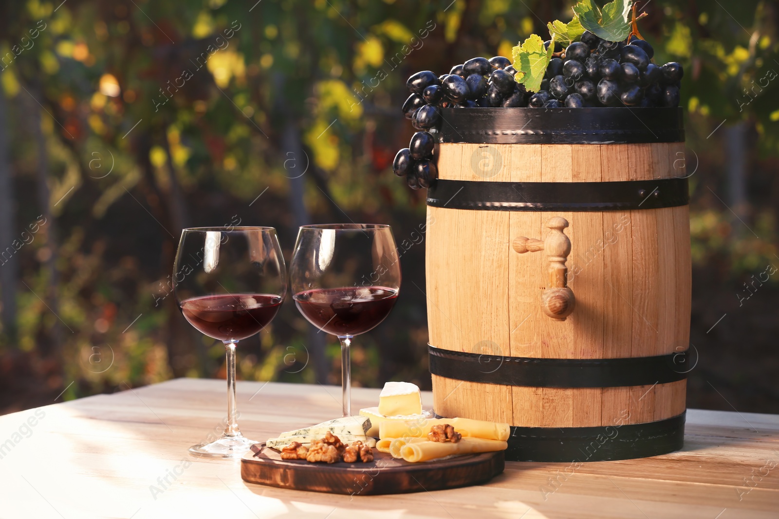 Photo of Composition with wine and snacks on table outdoors