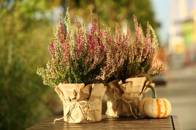 Photo of Beautiful heather flowers in pots and pumpkin on wooden table outdoors