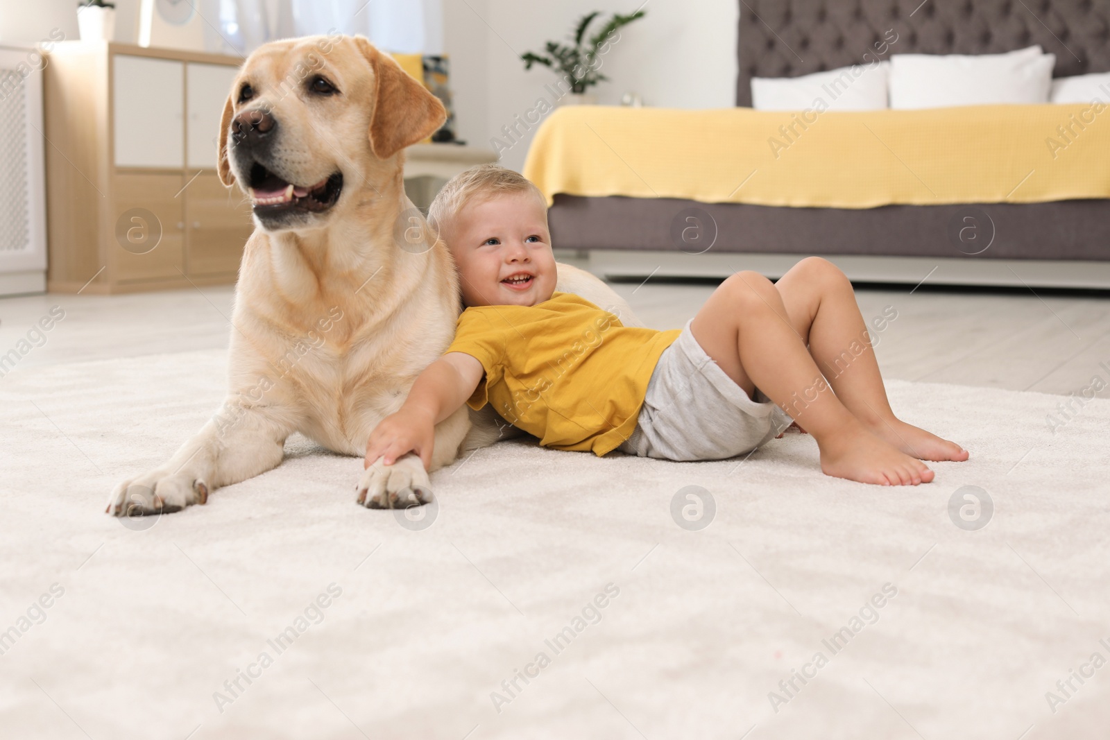 Photo of Adorable yellow labrador retriever and little boy at home