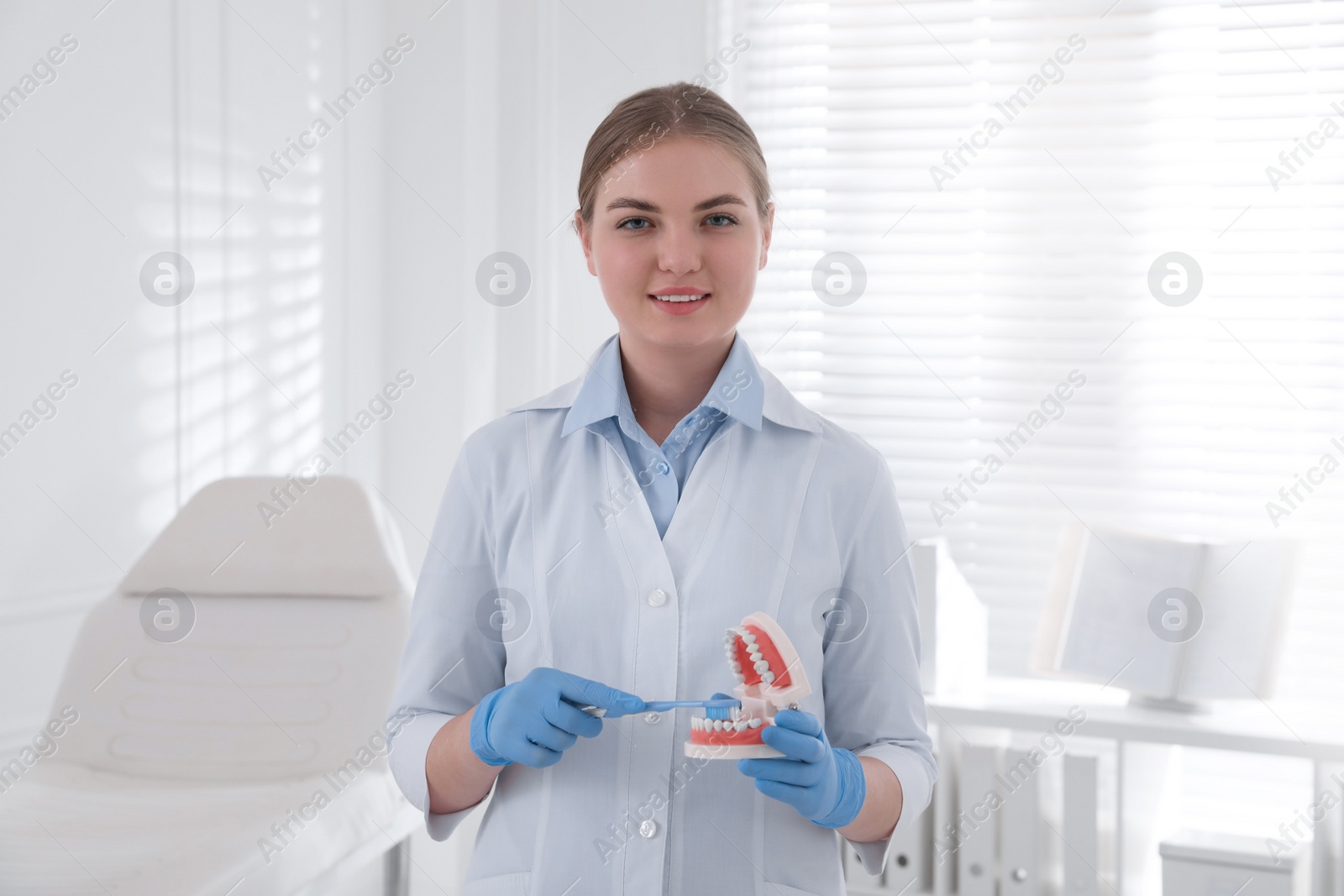 Photo of Dental assistant with jaws model and toothbrush in clinic. Oral care demonstration